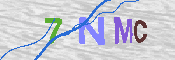 CAPTCHA 驗證圖片