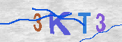 CAPTCHA 驗證圖片