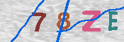 CAPTCHA 驗證圖片