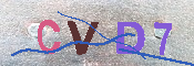CAPTCHA 驗證圖片