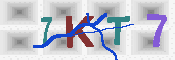 CAPTCHA 驗證圖片
