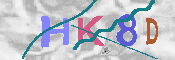 CAPTCHA 驗證圖片