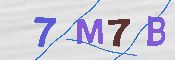 CAPTCHA 驗證圖片