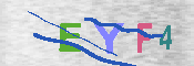 CAPTCHA 驗證圖片