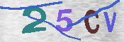 CAPTCHA 驗證圖片