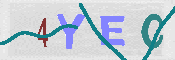 CAPTCHA 驗證圖片