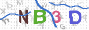 CAPTCHA 驗證圖片