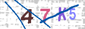 CAPTCHA 驗證圖片