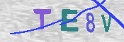 CAPTCHA 驗證圖片