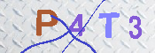 CAPTCHA 驗證圖片