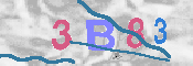 CAPTCHA 驗證圖片