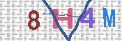 CAPTCHA 驗證圖片