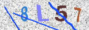 CAPTCHA 驗證圖片