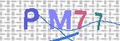 CAPTCHA 驗證圖片
