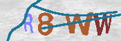 CAPTCHA 驗證圖片