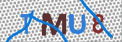 CAPTCHA 驗證圖片