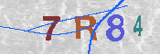 CAPTCHA 驗證圖片