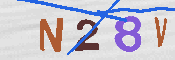 CAPTCHA 驗證圖片