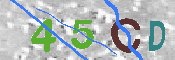 CAPTCHA 驗證圖片