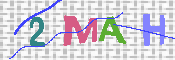 CAPTCHA 驗證圖片