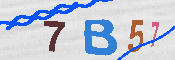 CAPTCHA 驗證圖片