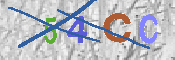 CAPTCHA 驗證圖片