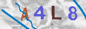 CAPTCHA 驗證圖片