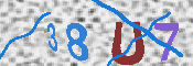 CAPTCHA 驗證圖片