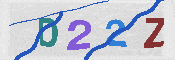 CAPTCHA 驗證圖片