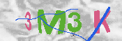 CAPTCHA 驗證圖片