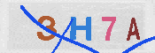 CAPTCHA 驗證圖片