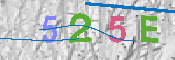 CAPTCHA 驗證圖片
