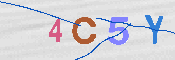 CAPTCHA 驗證圖片