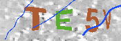 CAPTCHA 驗證圖片