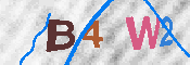 CAPTCHA 驗證圖片