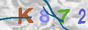 CAPTCHA 驗證圖片