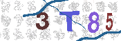 CAPTCHA 驗證圖片