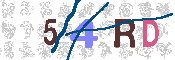 CAPTCHA 驗證圖片