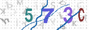 CAPTCHA 驗證圖片