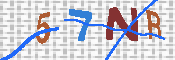 CAPTCHA 驗證圖片