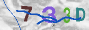 CAPTCHA 驗證圖片