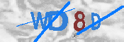CAPTCHA 驗證圖片