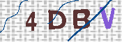 CAPTCHA 驗證圖片