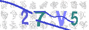 CAPTCHA 驗證圖片