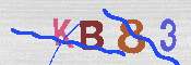 CAPTCHA 驗證圖片