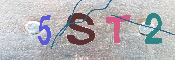 CAPTCHA 驗證圖片