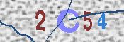 CAPTCHA 驗證圖片