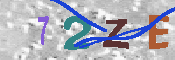 CAPTCHA 驗證圖片