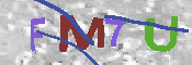 CAPTCHA 驗證圖片