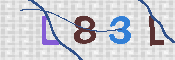 CAPTCHA 驗證圖片